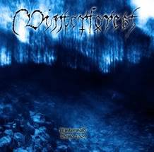 Vinterforest : Winterwald - Demo